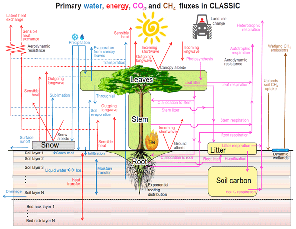 KMyMoney (Windows port), how to set up KMyMoney (Windows port), home accounting workflow with snapshots and restore points